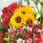 Decora tu casa (Copiar)