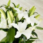 Ramo de liliums